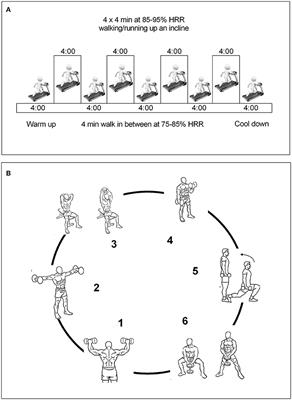 Acute Effects of High Intensity, Resistance, or Combined Protocol on the Increase of Level of Neurotrophic Factors in Physically Inactive Overweight Adults: The BrainFit Study